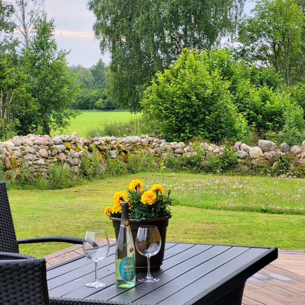 Linnulennu fly-in holiday house at EEMU